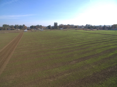 Davis, California Country Properties For Sale Near UC Davis - image 9