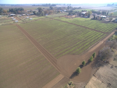 Davis, California Country Properties For Sale Near UC Davis - image 8