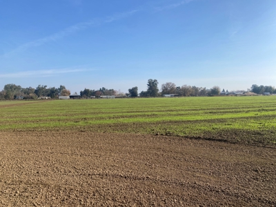 Davis, California Country Properties For Sale Near UC Davis - image 6