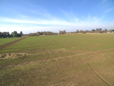 Davis, California Country Properties For Sale Near UC Davis - image 14