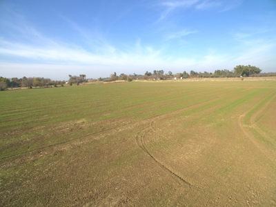 Davis, California Country Properties For Sale Near UC Davis - image 13