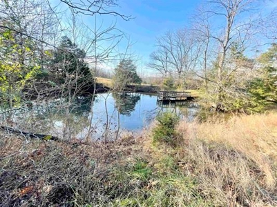 Country home in Fulton County AR for sale with 14.33 acreage - image 10