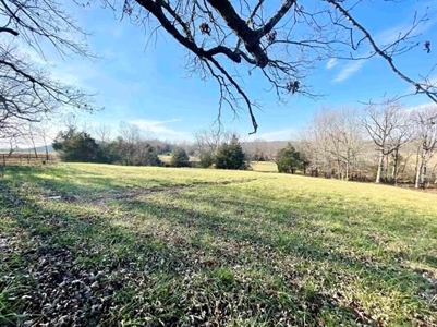 Country home in Fulton County AR for sale with 14.33 acreage - image 12