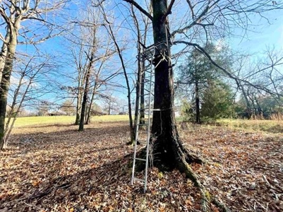 Country home in Fulton County AR for sale with 14.33 acreage - image 15