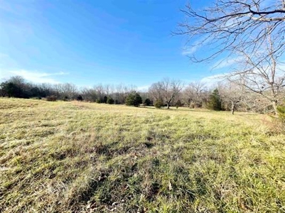 Country home in Fulton County AR for sale with 14.33 acreage - image 7