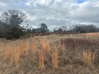 13-Acre Country Property nice views electric and water. Fenced .. - image 19