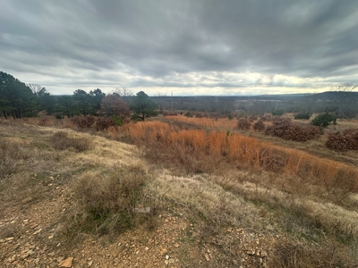 13-Acre Country Property nice views electric and water. Fenced .. - image 23
