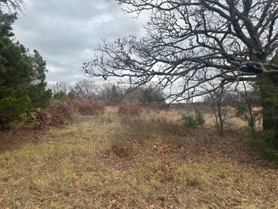 13-Acre Country Property nice views electric and water. Fenced .. - image 39