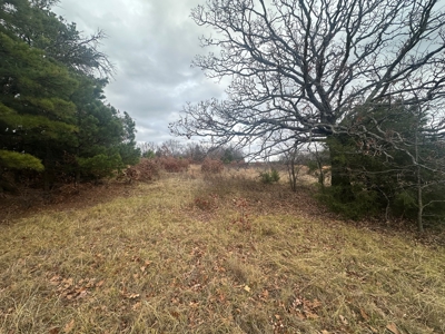 13-Acre Country Property nice views electric and water. Fenced .. - image 40