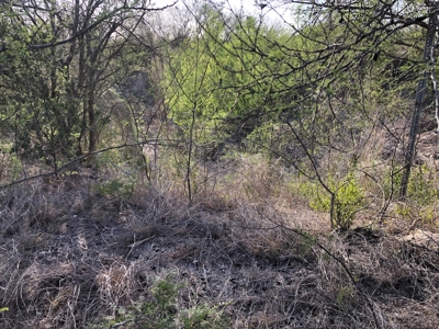 220 Acres in San Pat - image 31