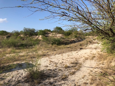 220 Acres in San Pat - image 9