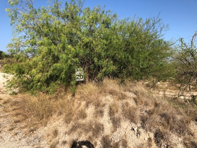 220 Acres in San Pat - image 10