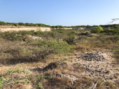 220 Acres in San Pat - image 23