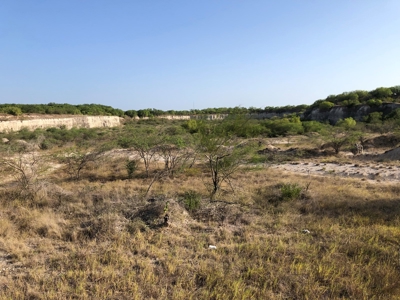 220 Acres in San Pat - image 4