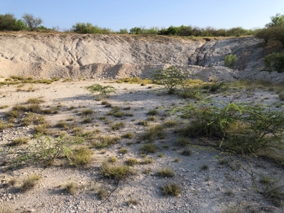 220 Acres in San Pat - image 11