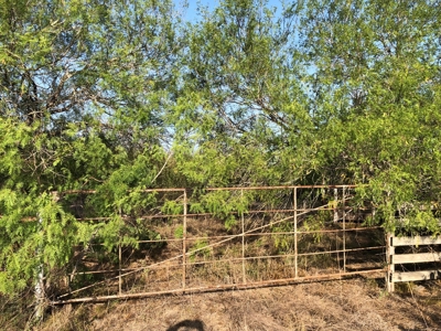 220 Acres in San Pat - image 25