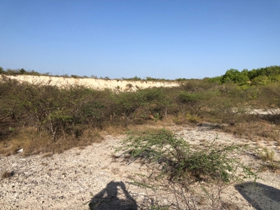 220 Acres in San Pat - image 19
