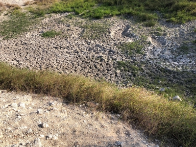 220 Acres in San Pat - image 13