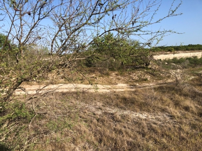 220 Acres in San Pat - image 8