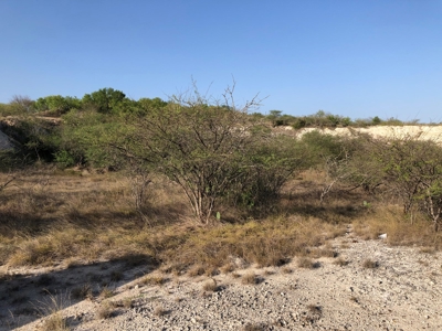 220 Acres in San Pat - image 18