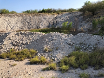 220 Acres in San Pat - image 12