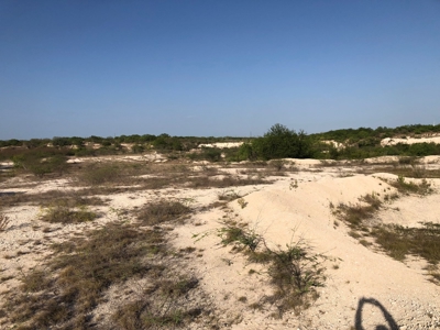 220 Acres in San Pat - image 17