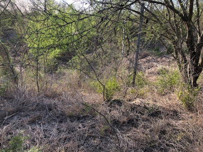 220 Acres in San Pat - image 30