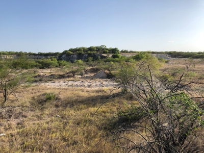 220 Acres in San Pat - image 5