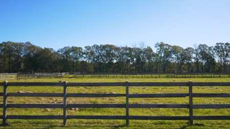 Premier Equestrian Facility in Carencro, LA - image 17