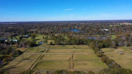 Premier Equestrian Facility in Carencro, LA - image 2