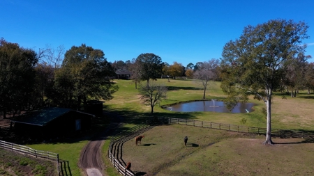 Premier Equestrian Facility in Carencro, LA - image 12