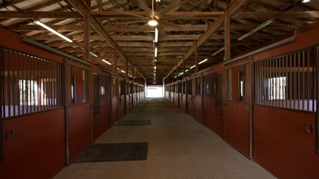 Premier Equestrian Facility in Carencro, LA - image 16