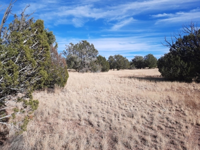 Rural off grid Northern AZ Property - image 2
