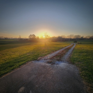 4 bedroom 2 bath home for sale near Franklin, Ky. - image 41