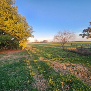 4 bedroom 2 bath home for sale near Franklin, Ky. - image 40