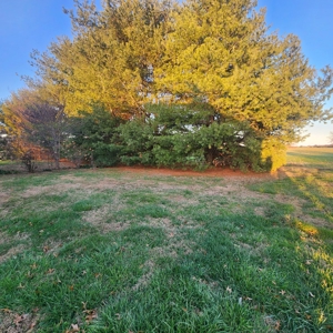 4 bedroom 2 bath home for sale near Franklin, Ky. - image 39