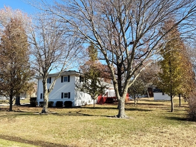 El Dorado Springs, MO Home in Town for Sale, Cedar County MO - image 45