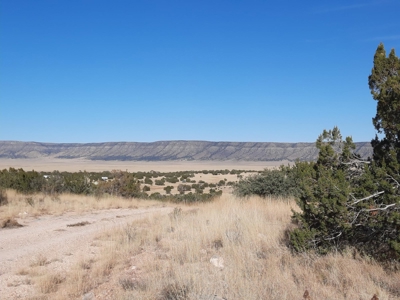 Gorgeous view of the Aubrey Cliffs - image 2