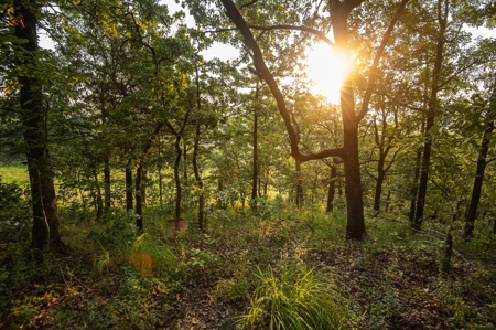 Premier Hunting & Cattle Ranch for Sale Near McAlester OK - image 15