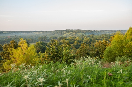 Premier Hunting & Cattle Ranch for Sale Near McAlester OK - image 2