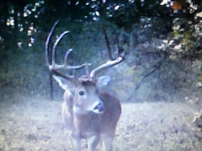 Premier Hunting & Cattle Ranch for Sale Near McAlester OK - image 10
