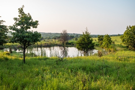 Premier Hunting & Cattle Ranch for Sale Near McAlester OK - image 6