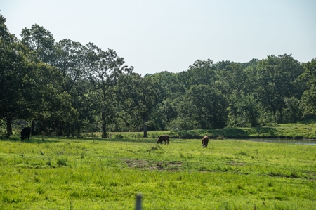 Premier Hunting & Cattle Ranch for Sale Near McAlester OK - image 21
