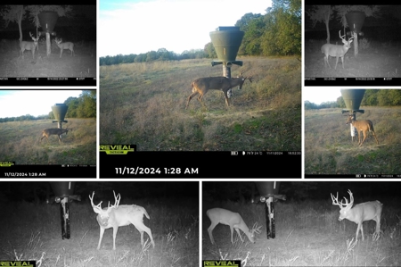 Premier Hunting & Cattle Ranch for Sale Near McAlester OK - image 13