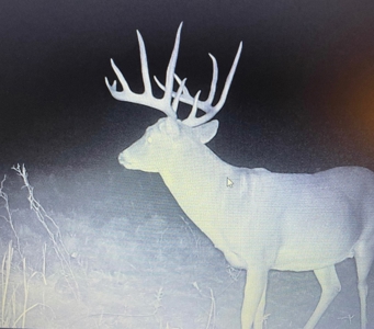 Premier Hunting & Cattle Ranch for Sale Near McAlester OK - image 9