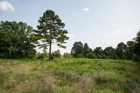 Premier Hunting & Cattle Ranch for Sale Near McAlester OK - image 8