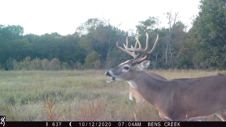 Premier Hunting & Cattle Ranch for Sale Near McAlester OK - image 11