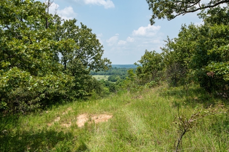 Premier Hunting & Cattle Ranch for Sale Near McAlester OK - image 5
