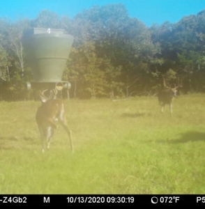 Premier Hunting & Cattle Ranch for Sale Near McAlester OK - image 43