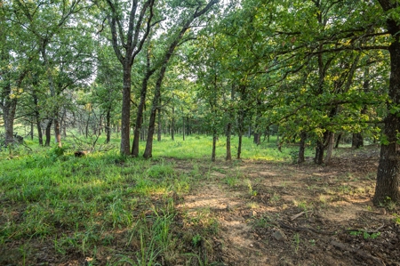 Premier Hunting & Cattle Ranch for Sale Near McAlester OK - image 14